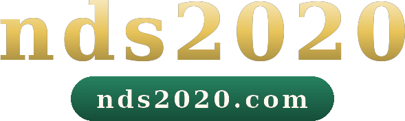 nds2020 logo